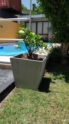 Apartamento H�bitat Gonnet