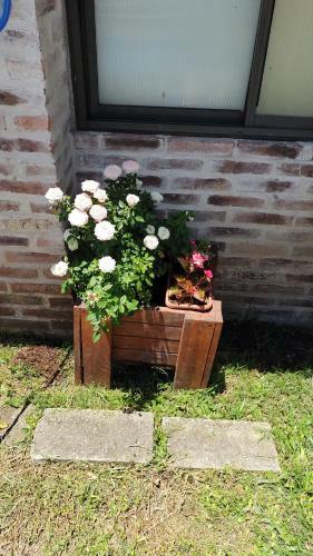 Apartamento H�bitat Gonnet