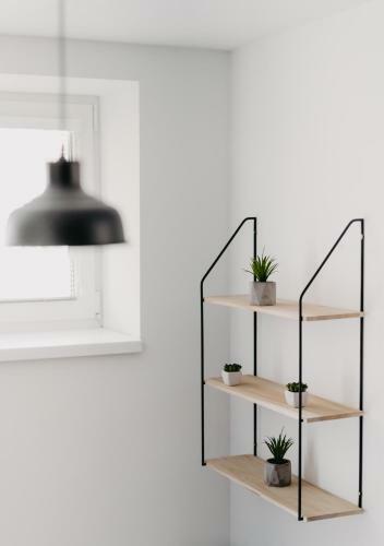 Apartamento Little Home