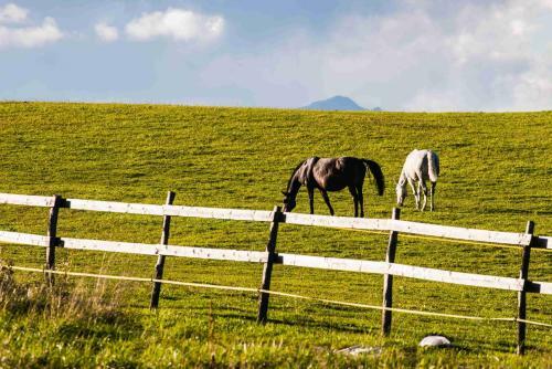 Apartm�ny Tatry ?iarce