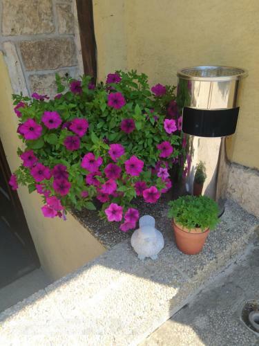 Apartamento Ubytovanie Ath�na