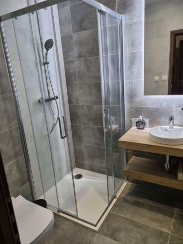 Budinski Apartm�ny & Wellness