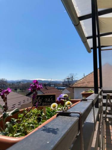 Apartment Nedela
