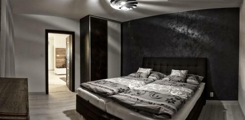 Apartment Centrum Luxury