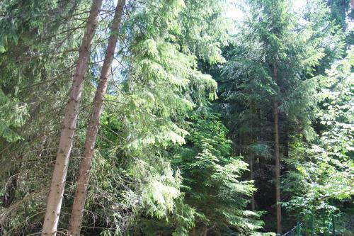 Apartm�n Malino Brdo - Hrabovsk� Dolina