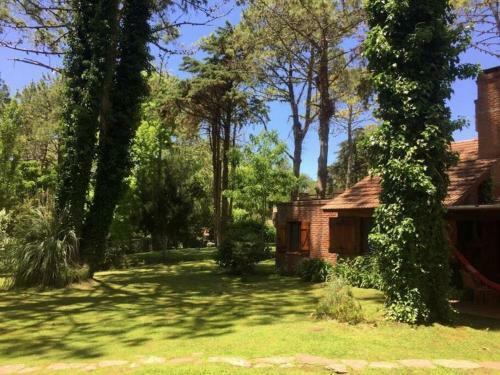 Experiencia �nica! Casa En El Bosque de Caril�
