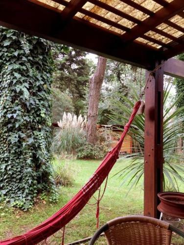 Experiencia �nica! Casa En El Bosque de Caril�