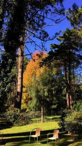 Experiencia �nica! Casa En El Bosque de Caril�