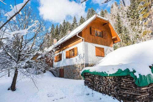 Apartamento Pohorje House 2 Four Appartmetns