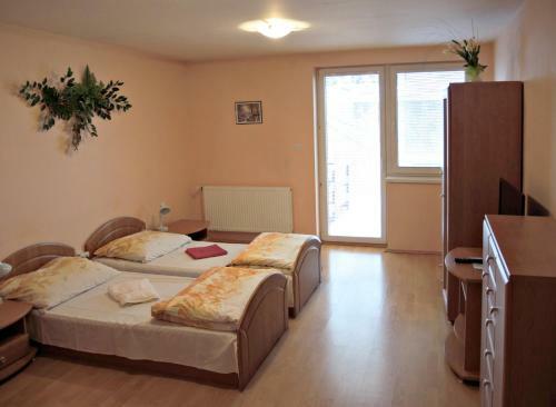 Hotel Penzionlivia,tr.teplice