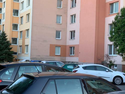 Apartment T8