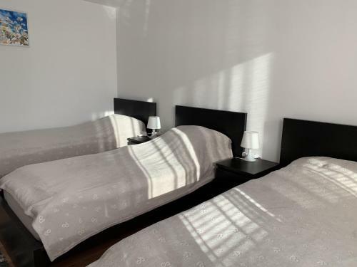 Apartment T8