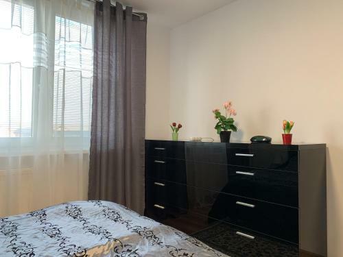 Apartment T8