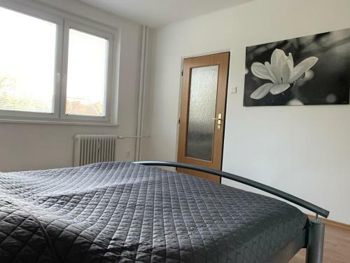 Apartament T&hos