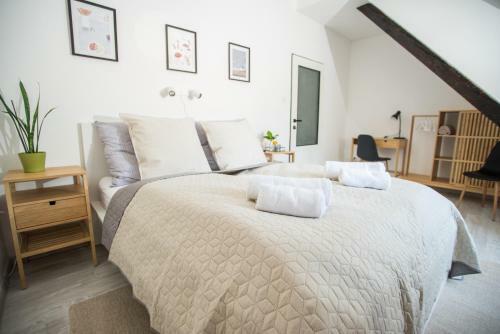 Hostal Penzi�n Branecky