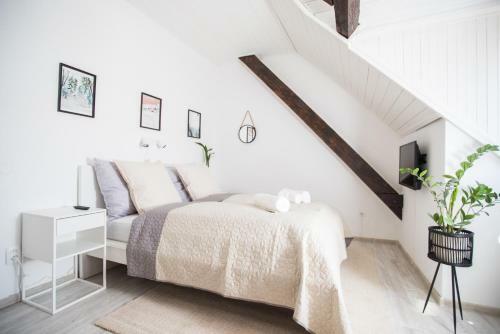 Hostal Penzi�n Branecky