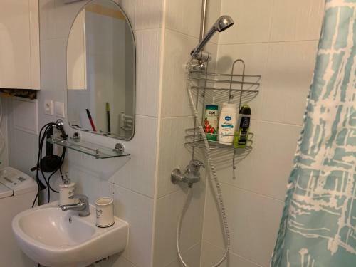 Apartmen Zelenecska