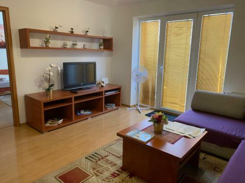 Apartmen Zelenecska