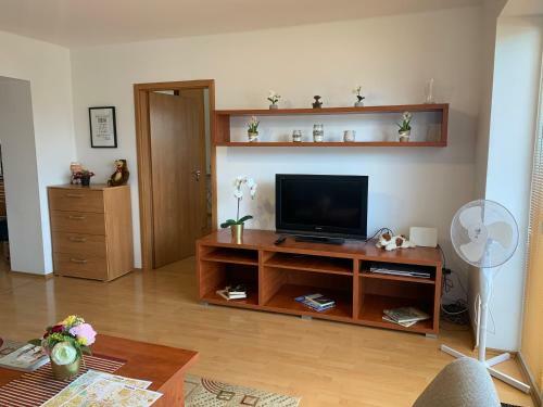 Apartmen Zelenecska