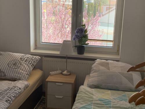 Apartmen Zelenecska