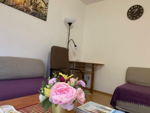 Apartmen Zelenecska