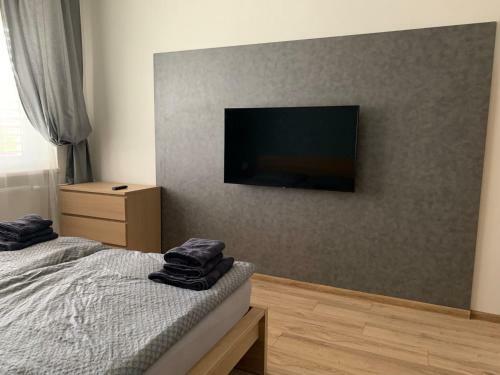 Apartments Tren?�n