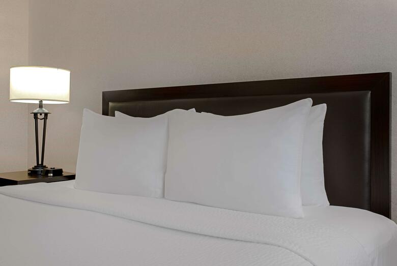 Hotel Ramada Downtown Calgary