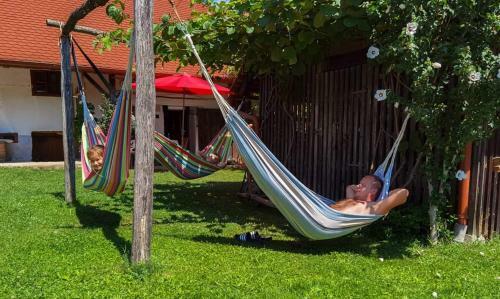 Apartamento Balajceva Doma?ija