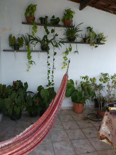 Quarto Individual Zona Leste Penha