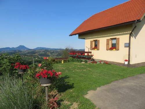 Apartma Panorama Po?etrtek