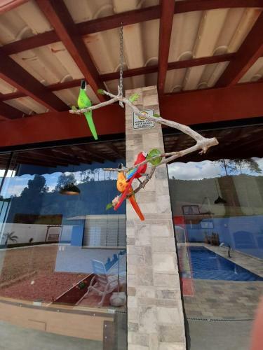 Ch�cara Do Dimas, Serra Negra - Sp