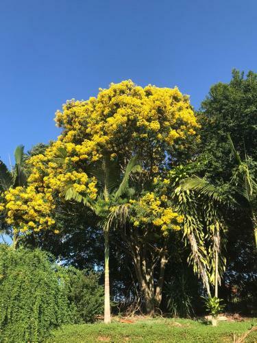 Cantinho Do Para�so