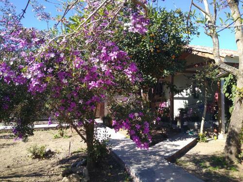 Hostal Hospedaria V� Schutz 2