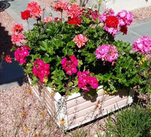 Acomoda��o Recanto Das Flores