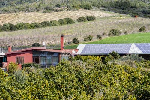 Agroturismo Farms Stay L'agrumeto