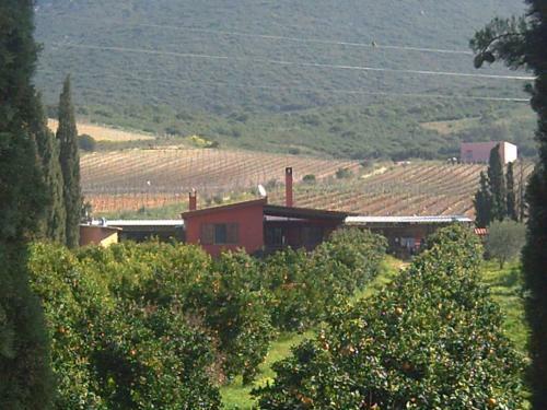 Agroturismo Farms Stay L'agrumeto
