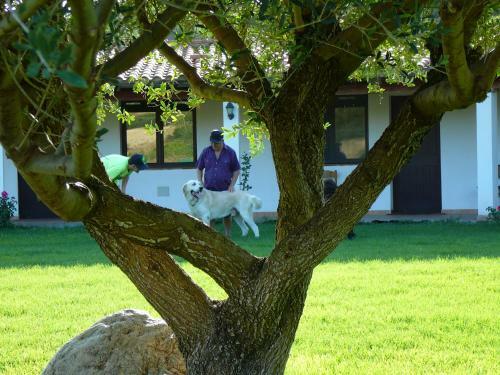 Agroturismo Farms Stay L'agrumeto