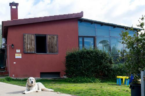 Agroturismo Farms Stay L'agrumeto