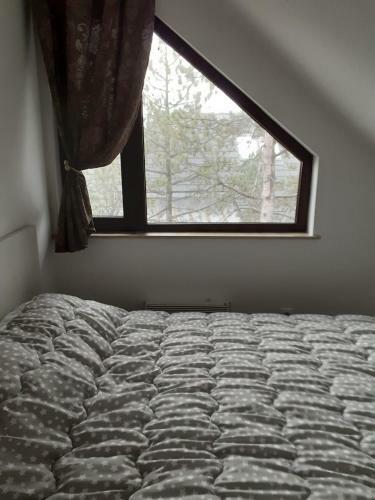 Apartman Zlatibor