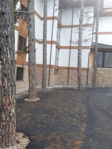 Apartman Zlatibor