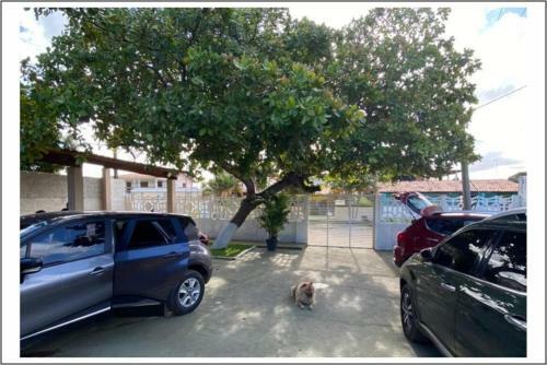 Casa Em Tamandar�! 150 Metros Da Praia.