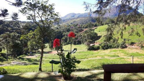 Sitio Haras Vitoria