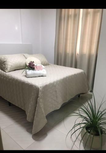 Apartamento Loft Higino Palace