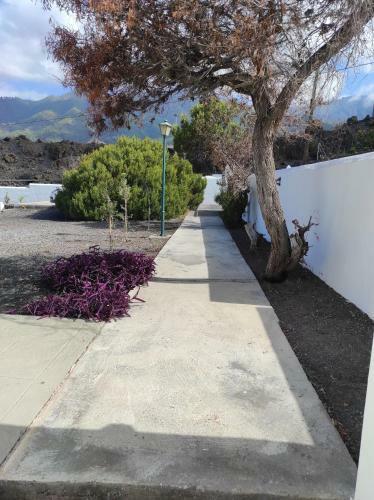 Apartamento Cr�ter 1