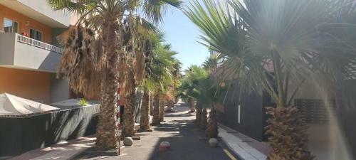 Apartamento Puertito Guimar