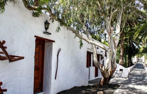 Apartamentos Delm�s