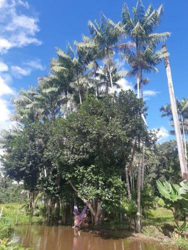 S�tio Guapuruvu