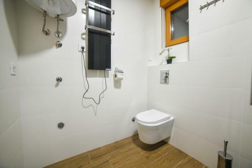 Vila Elsa Apartmani Kosta Todorovic