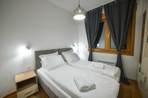 Vila Elsa Apartmani Kosta Todorovic