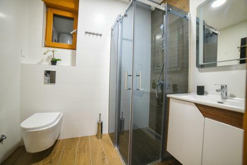 Vila Elsa Apartmani Kosta Todorovic